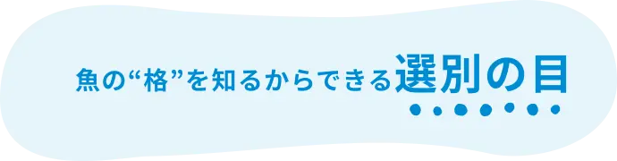 魚の“格”を知るからできる選別の目