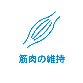 筋肉の維持