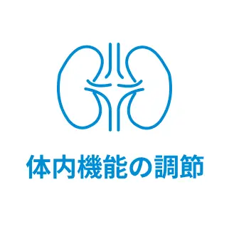 体内機能の調節