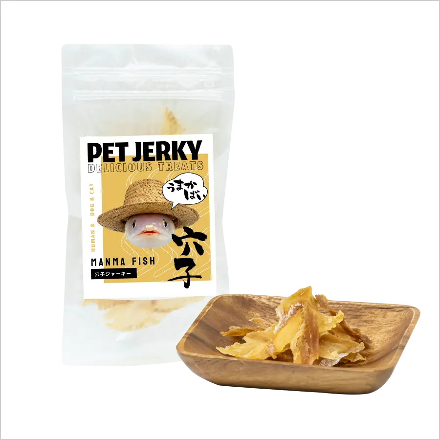 MANMA FISH 天然あなごジャーキー